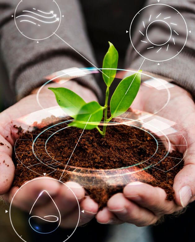 Birmon Trading Group Ltd Birmon Trading Group Ltd